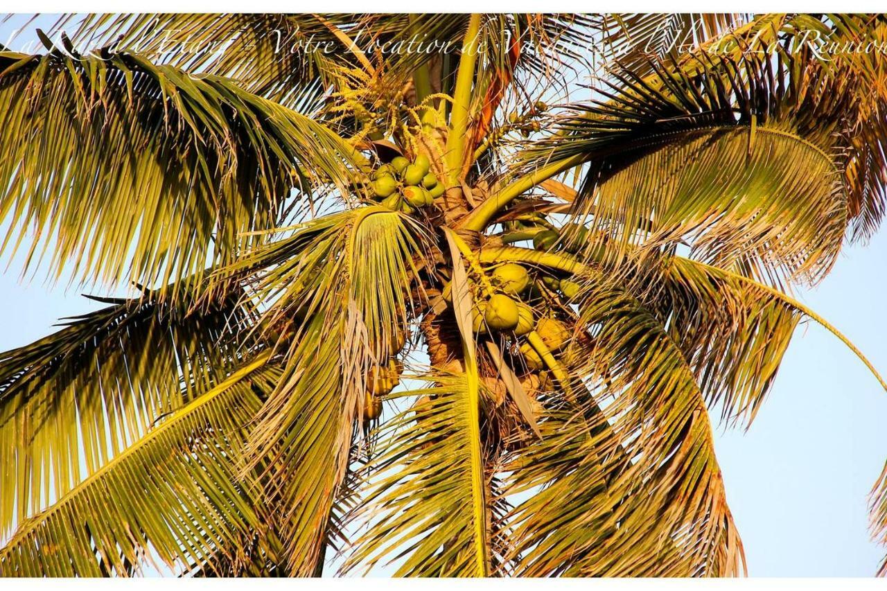 La Kaz à l'Étang - Votre Location de Vacances à l'Île de La Réunion Saint-Louis Extérieur photo